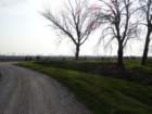dsc03990_small.jpg