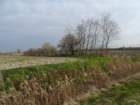 dsc03994_small.jpg