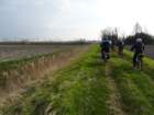 dsc03996_small.jpg