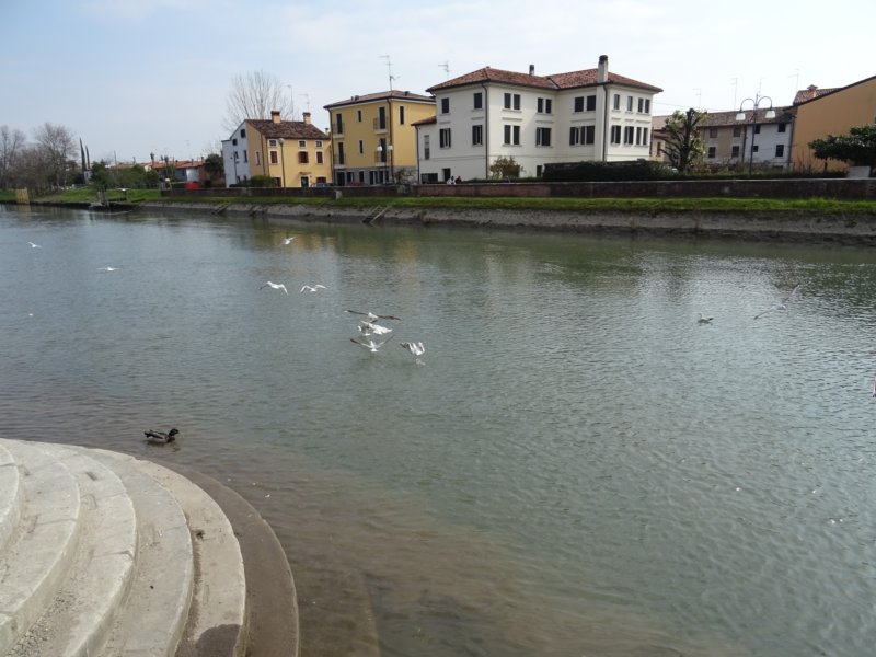 dsc04094.jpg