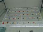 dsc04191_small.jpg