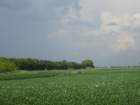 img_4332_small.jpg