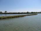 img_4335_small.jpg