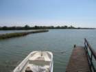 img_4336_small.jpg