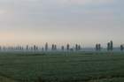 img_4857e_small.jpg