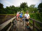dsc07948_small.jpg