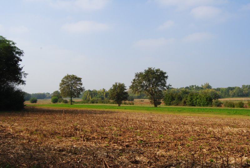 dsc_0180.jpg