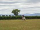 dsc00520_small.jpg