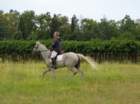 dsc00522_small.jpg
