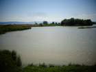 dsc01199_small.jpg