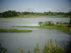 dsc01206_small.jpg