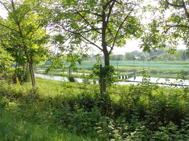 dsc07667.jpg