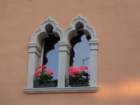 dsc07831_small.jpg