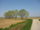 img_4637_small.jpg