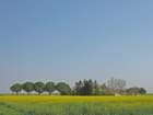 img_4643_small.jpg