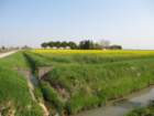 img_4644_small.jpg