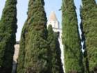 img_4650_small.jpg