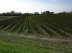 dsc09266_small.jpg
