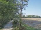 pa060003_small.jpg