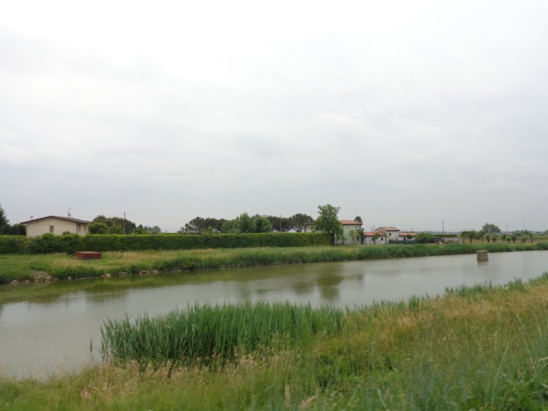 dsc_0310.jpg
