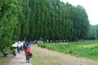 dsc_0375_small.jpg