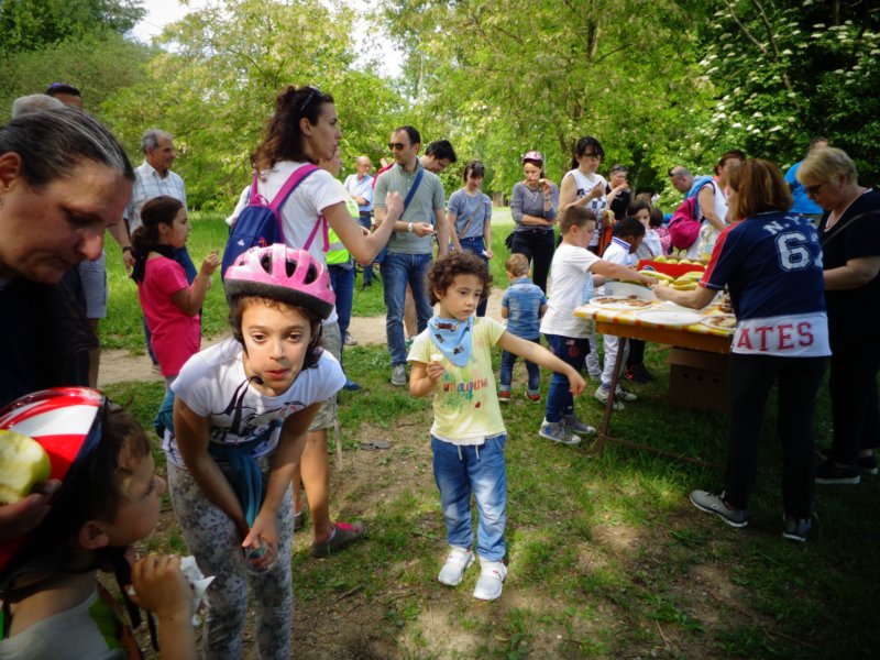 img_1400m.jpg