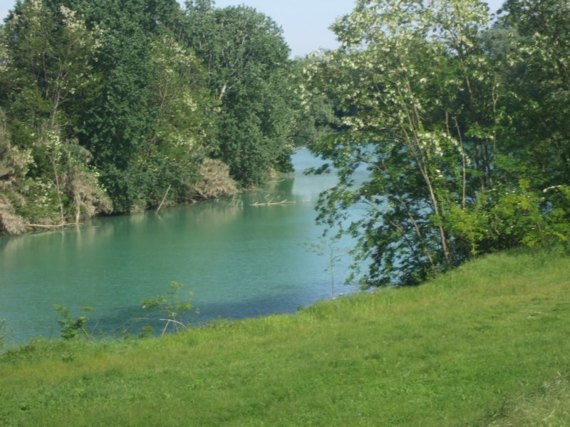 dsc05044b.jpg