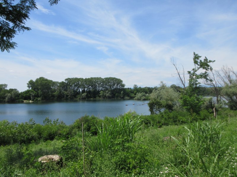 photo26.jpg