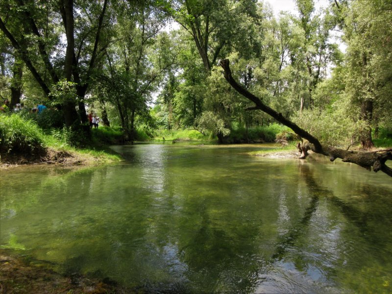 photo32.jpg