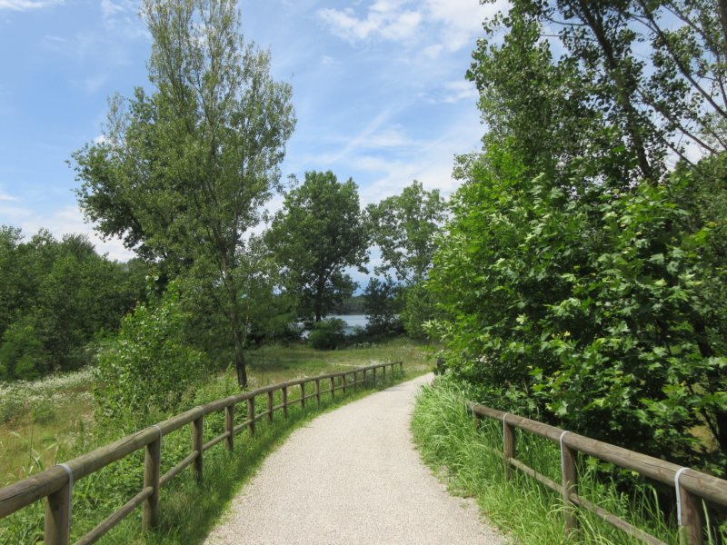 photo34.jpg