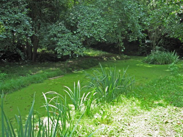 img_8668.jpg