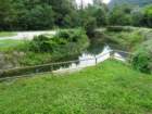 dsc04501_small.jpg