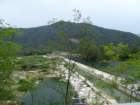dsc04511_small.jpg
