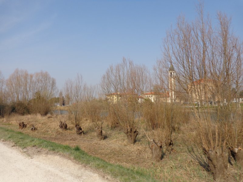 dsc04266.jpg