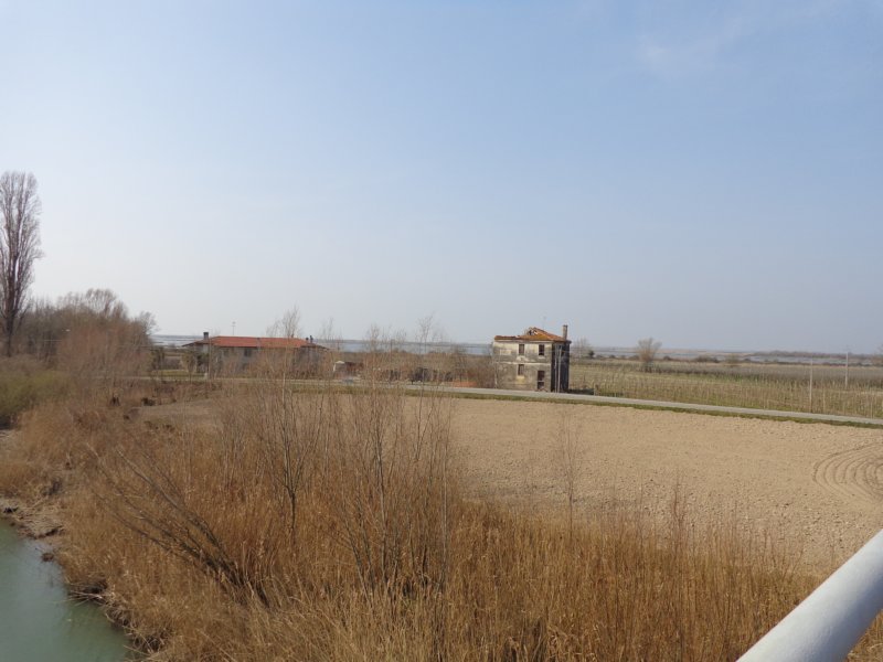 dsc04297.jpg