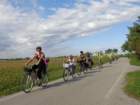 dsc02257_small.jpg