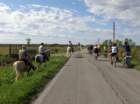 dsc02277_small.jpg