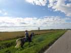 dsc02279_small.jpg