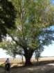 dsc02289_small.jpg