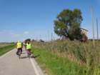 dsc02295_small.jpg