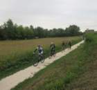 dsc08517a_small.jpg