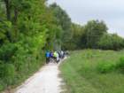 dsc08523_small.jpg