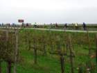 dsc08545_small.jpg