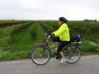 dsc08549_small.jpg