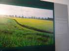 dsc08595_small.jpg