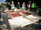 dsc09456_small.jpg