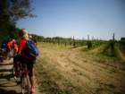 dsc09538_small.jpg
