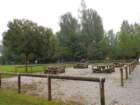 dsc_0313b_small.jpg