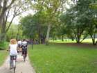 dsc_0335a_small.jpg