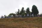 dsc_0343_small.jpg